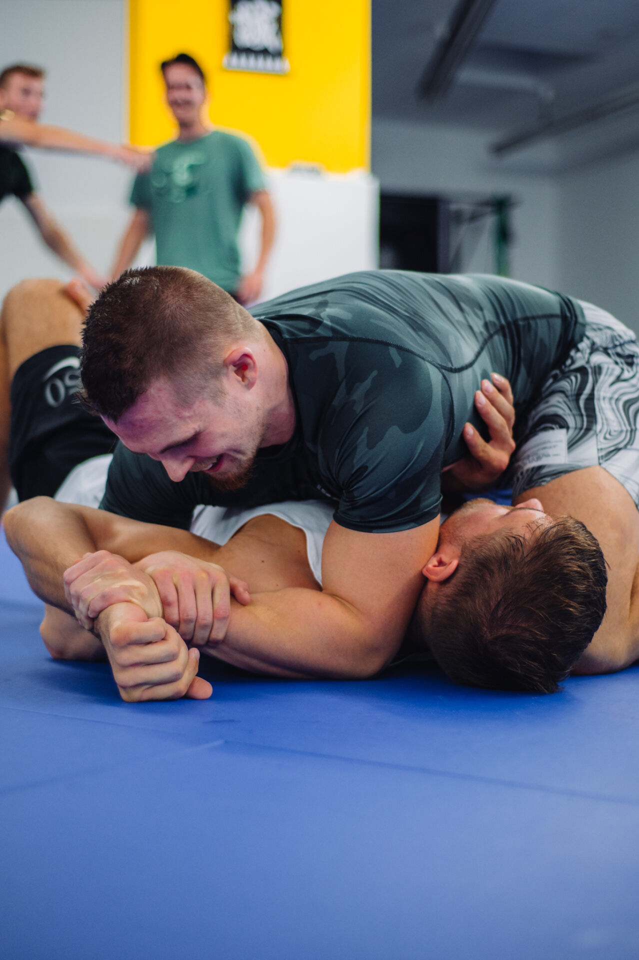 Grappling, Luta Livre, grapple & move
